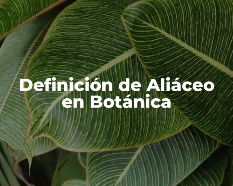 Definición de Aliáceo en Botánica
