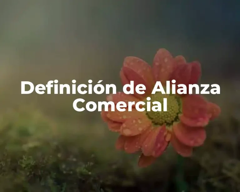 Definición de Alianza Comercial