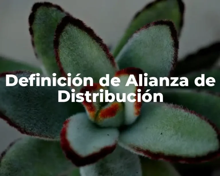 Definición de Alianza de Distribución