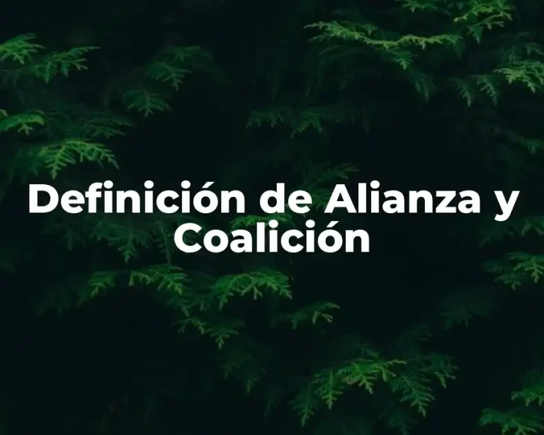 Definición de Alianza y Coalición