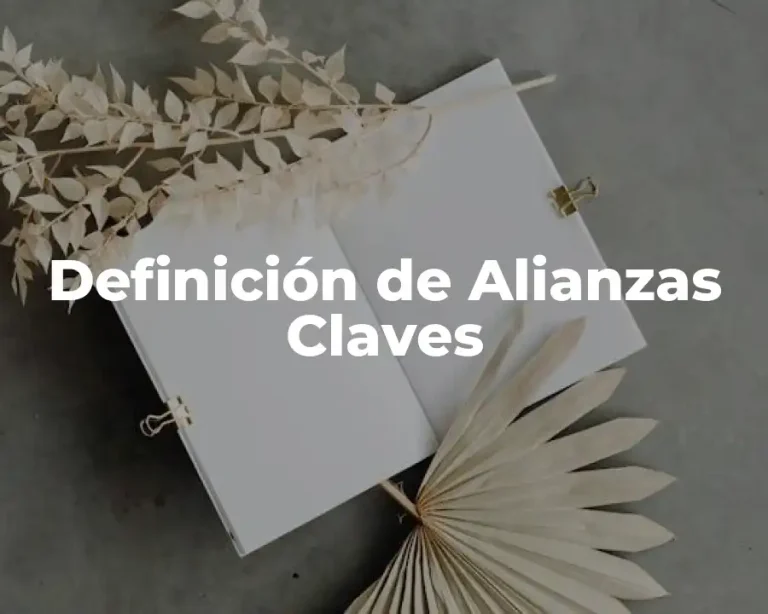 Definición de Alianzas Claves