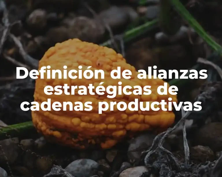 Definición de alianzas estratégicas de cadenas productivas