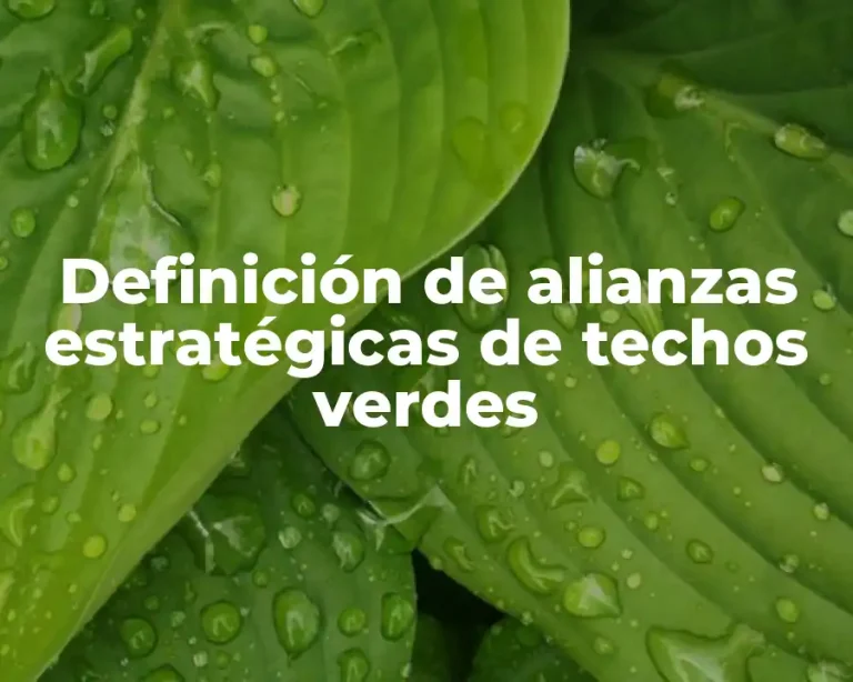 Definición de alianzas estratégicas de techos verdes