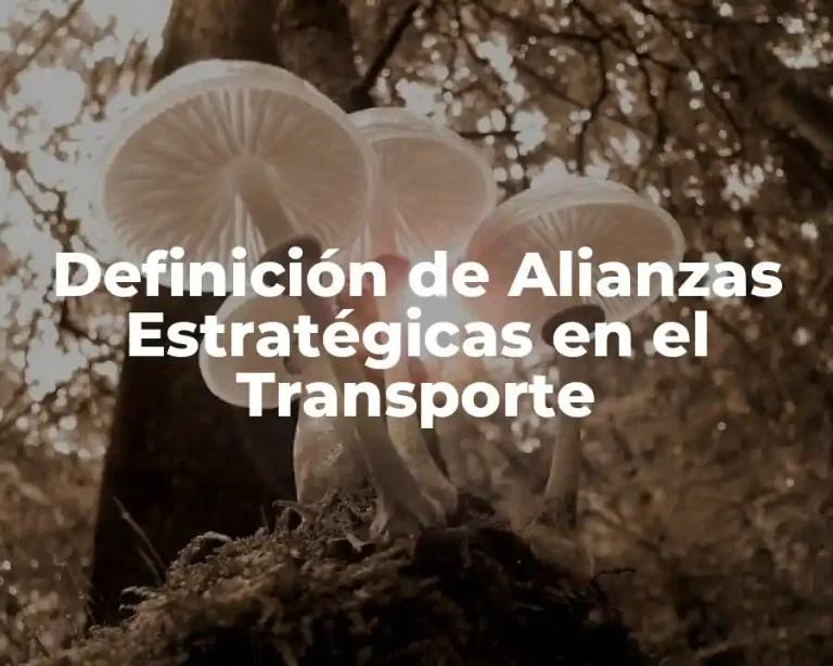 Definición de Alianzas Estratégicas en el Transporte