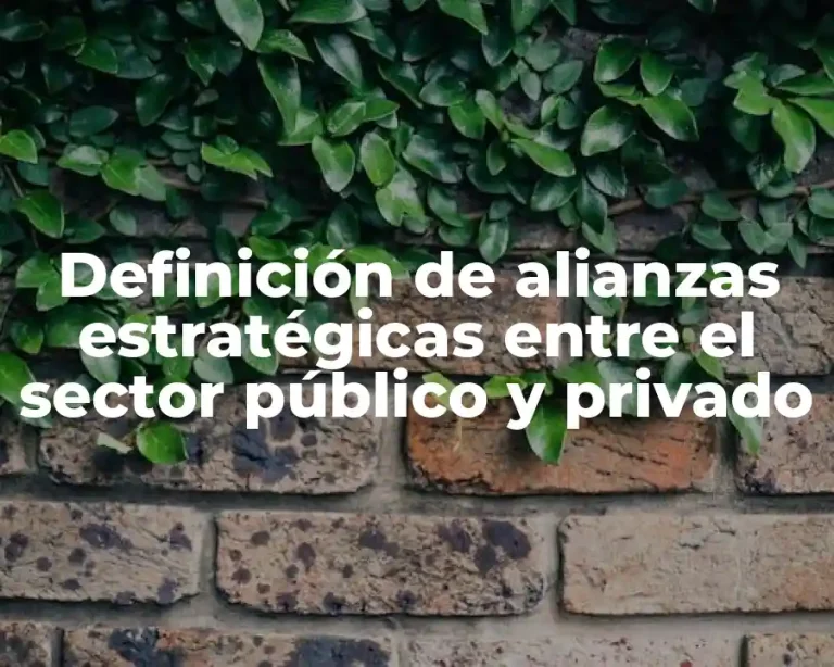 Definición de alianzas estratégicas entre el sector público y privado