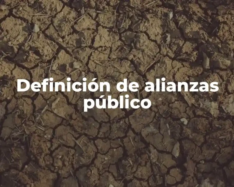 Definición de alianzas público