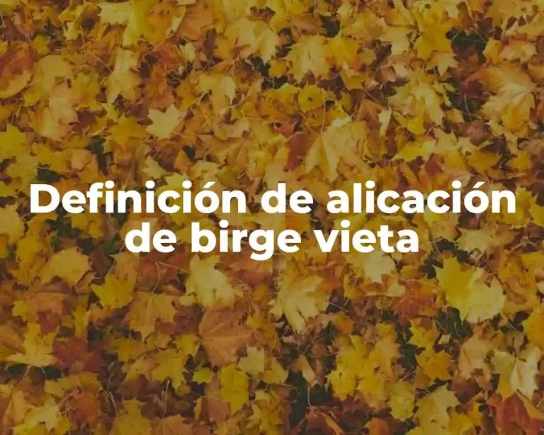 Definición de alicación de birge vieta