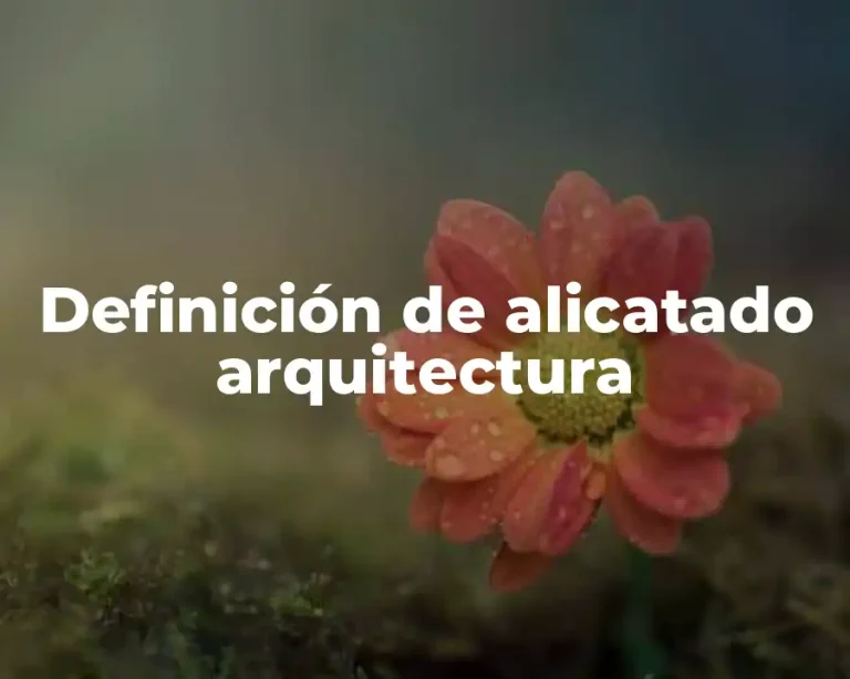 Definición de alicatado arquitectura