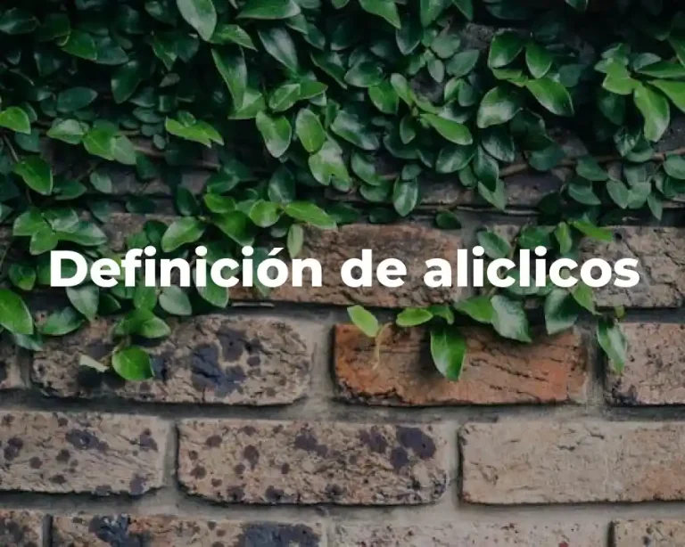 Definición de aliclicos