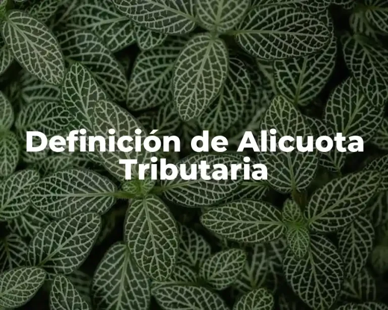 Definición de Alicuota Tributaria