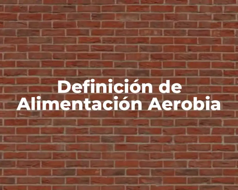 Definición de Alimentación Aerobia