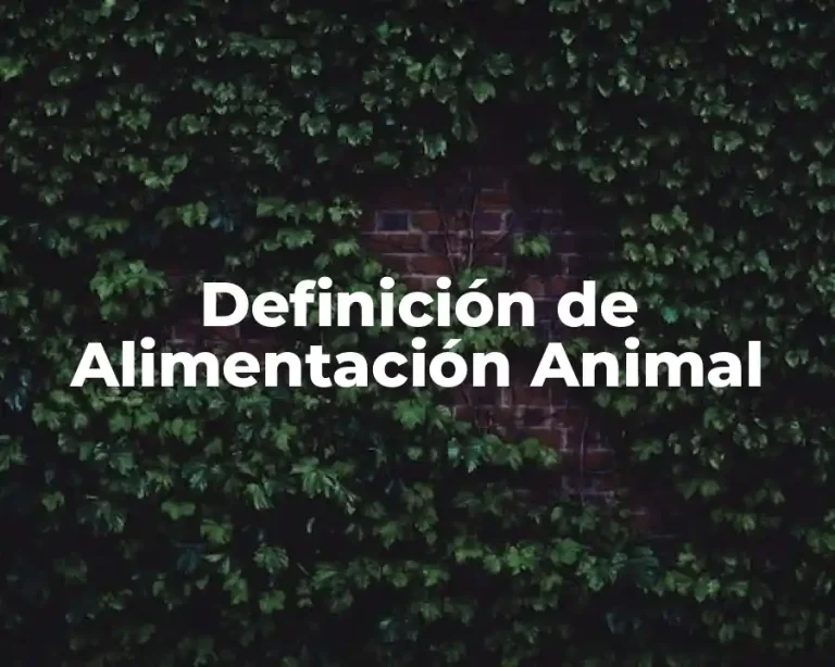Definición de Alimentación Animal