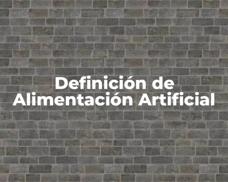 Definición de Alimentación Artificial