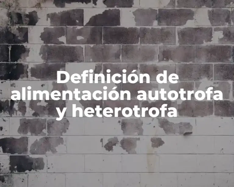 Definición de alimentación autotrofa y heterotrofa
