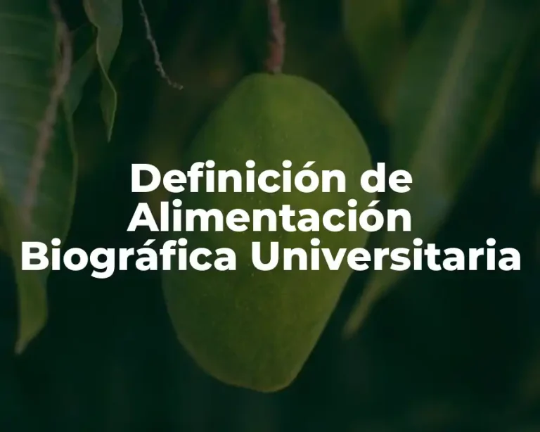 Definición de Alimentación Biográfica Universitaria