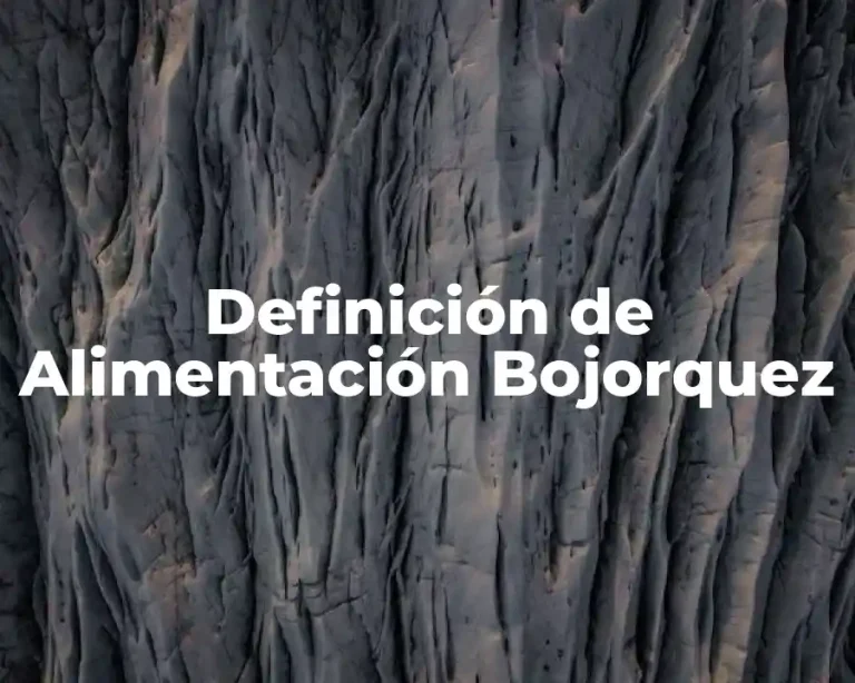 Definición de Alimentación Bojorquez