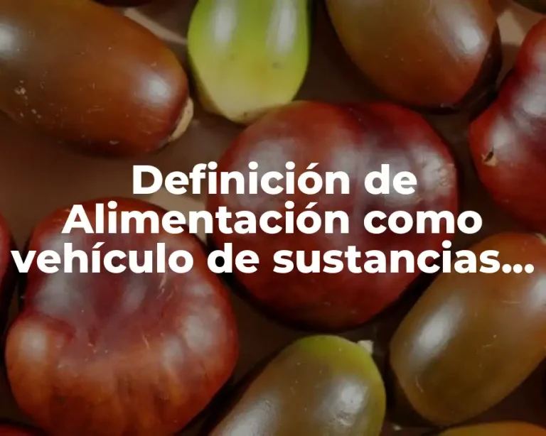 Definición de Alimentación como vehículo de sustancias nutritivas
