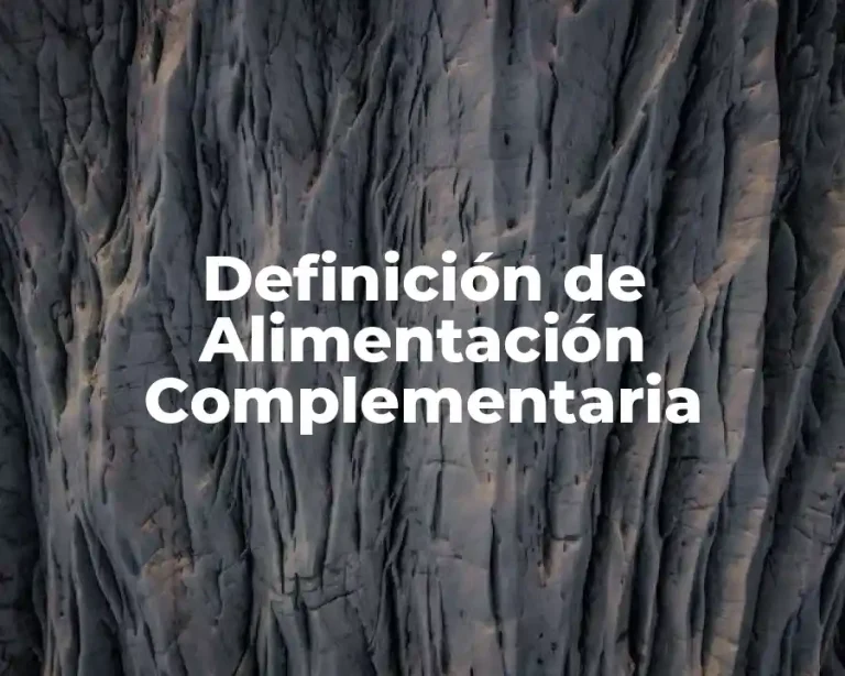 Definición de Alimentación Complementaria