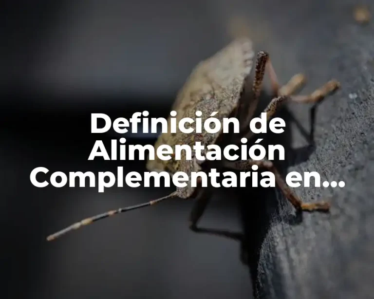 Definición de Alimentación Complementaria en Bebés