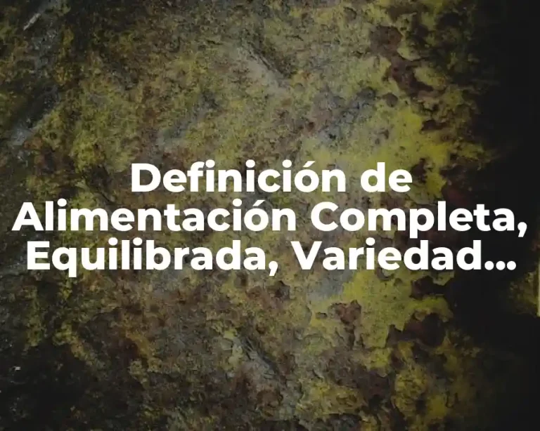 Definición de Alimentación Completa, Equilibrada, Variedad Suficiente e Inocua