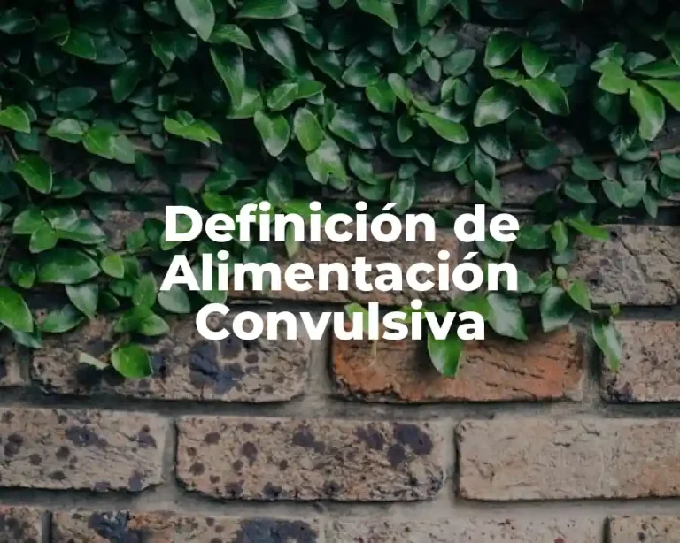 Definición de Alimentación Convulsiva