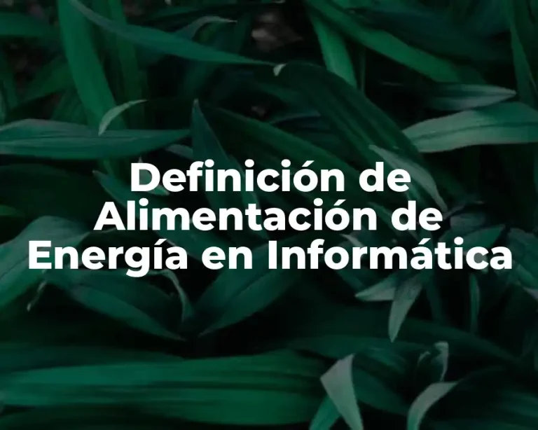 Definición de Alimentación de Energía en Informática