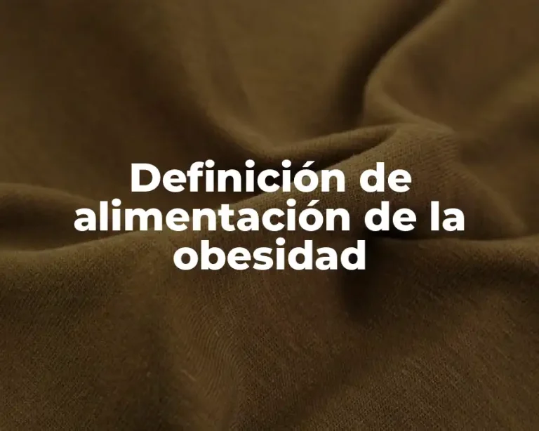 Definición de alimentación de la obesidad