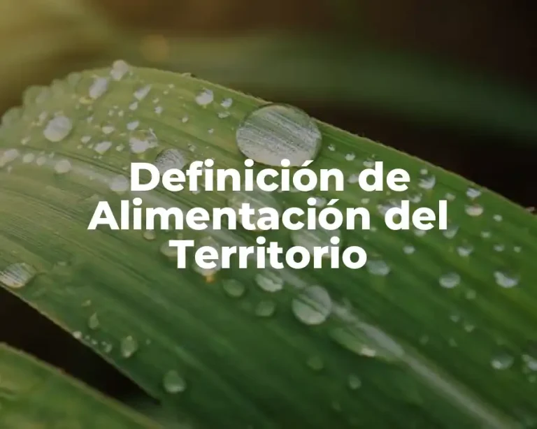 Definición de Alimentación del Territorio