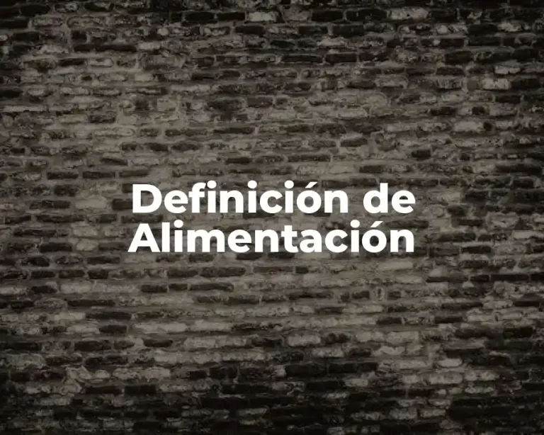 Definición de Alimentación