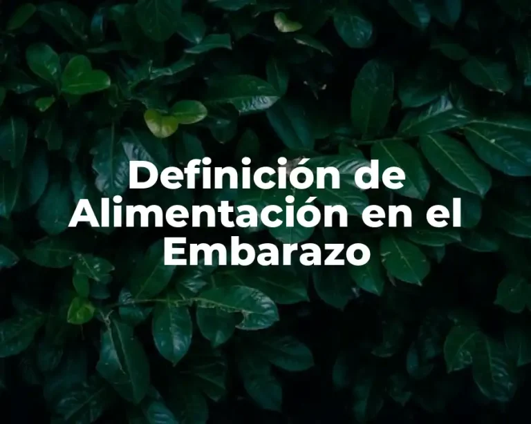 Definición de Alimentación en el Embarazo