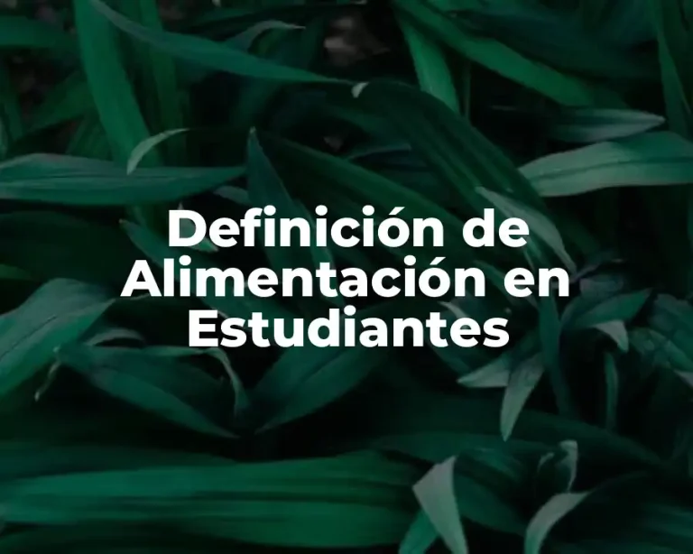 Definición de Alimentación en Estudiantes