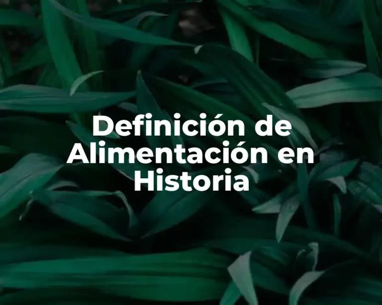 Definición de Alimentación en Historia