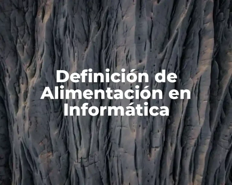 Definición de Alimentación en Informática