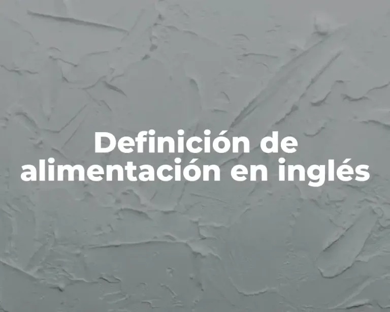Definición de alimentación en inglés