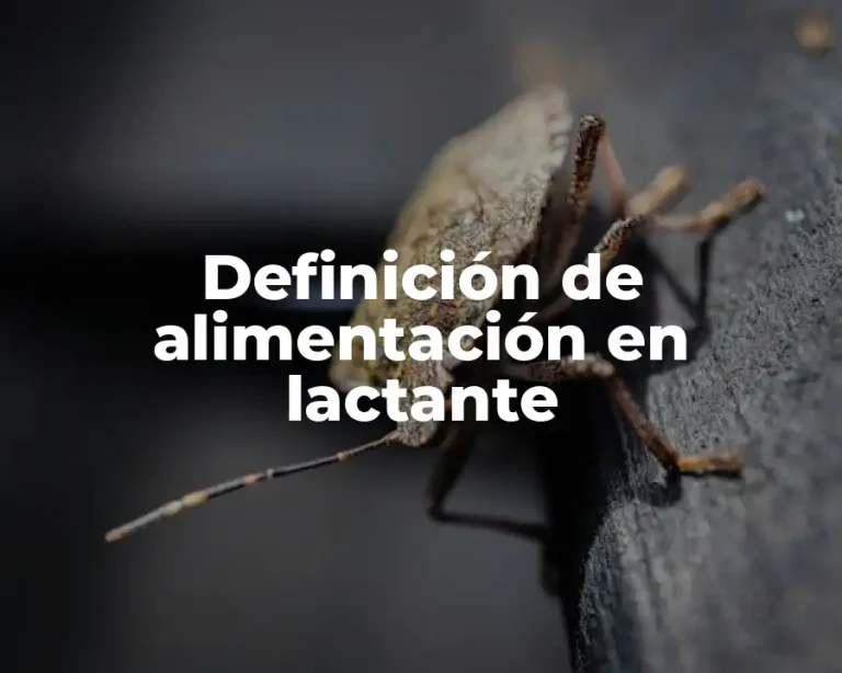 Definición de alimentación en lactante