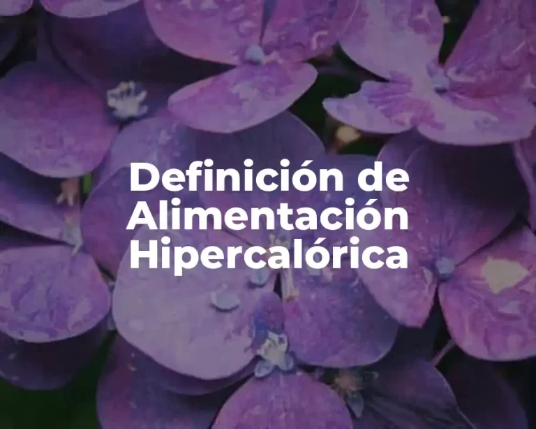 Definición de Alimentación Hipercalórica