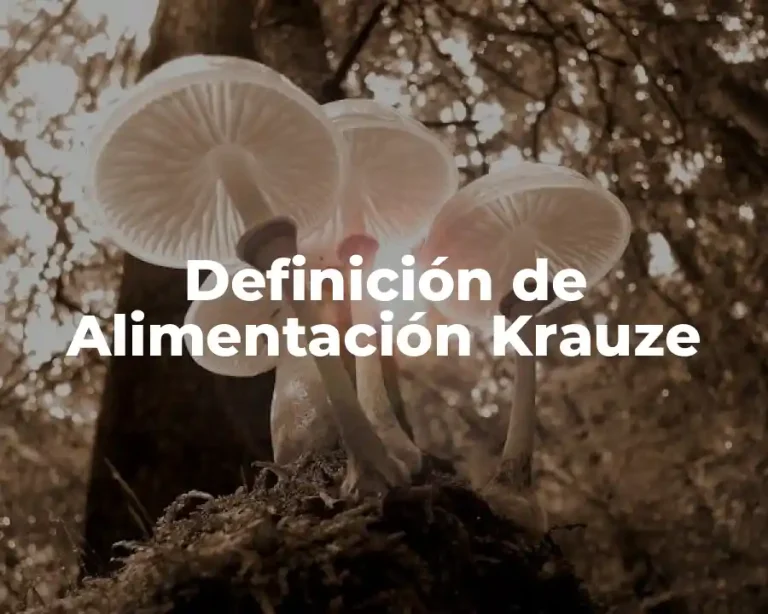 Definición de Alimentación Krauze