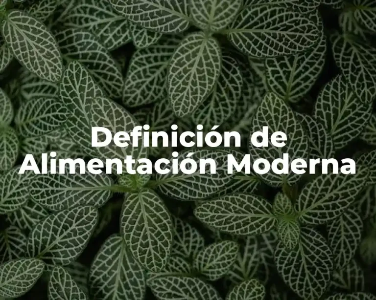 Definición de Alimentación Moderna