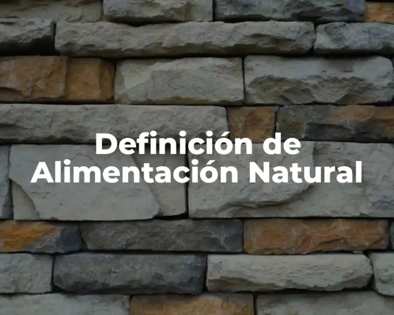 Definición de Alimentación Natural