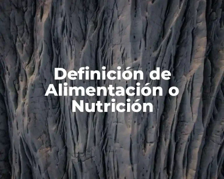 Definición de Alimentación o Nutrición