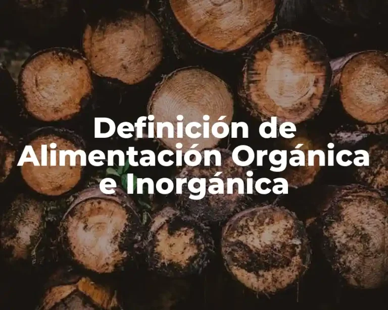 Definición de Alimentación Orgánica e Inorgánica