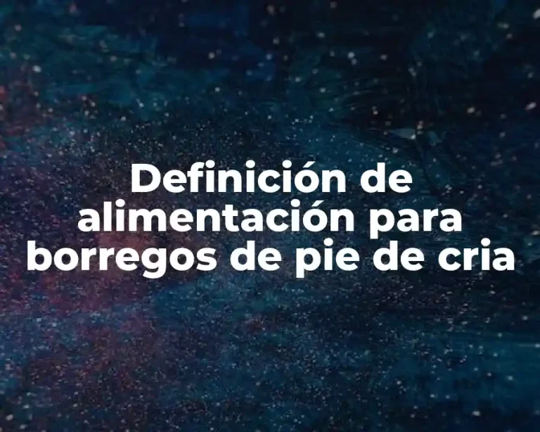 Definición de alimentación para borregos de pie de cria