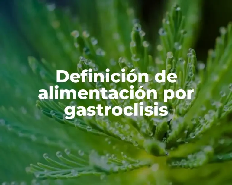 Definición de alimentación por gastroclisis