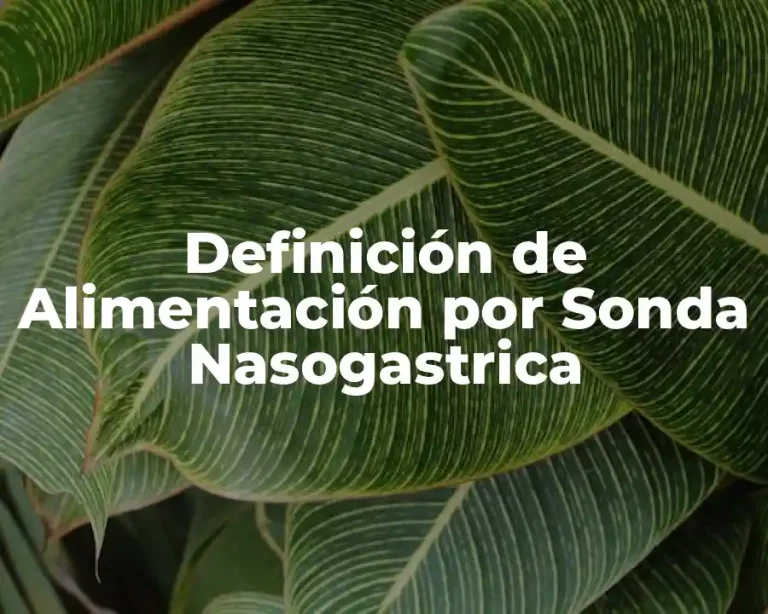 Definición de Alimentación por Sonda Nasogastrica