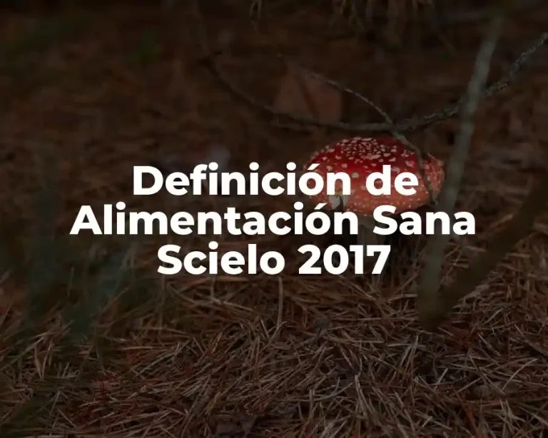 Definición de Alimentación Sana Scielo 2017