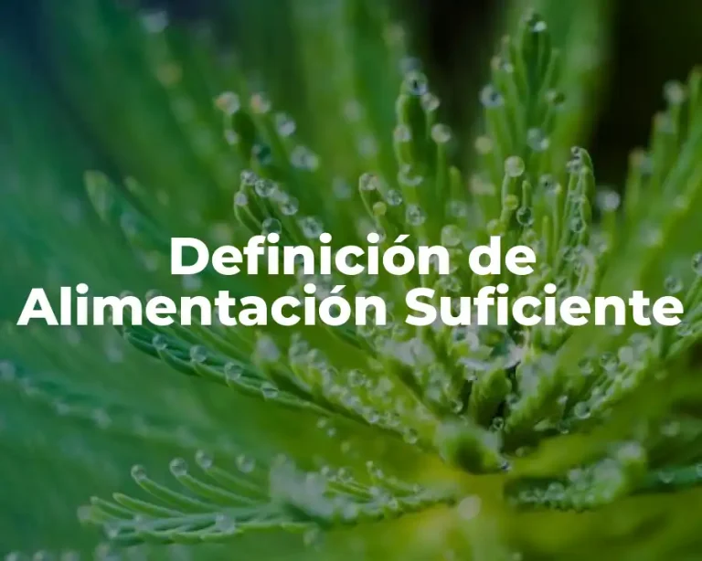 Definición de Alimentación Suficiente