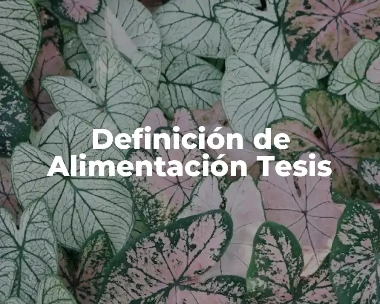 Definición de Alimentación Tesis