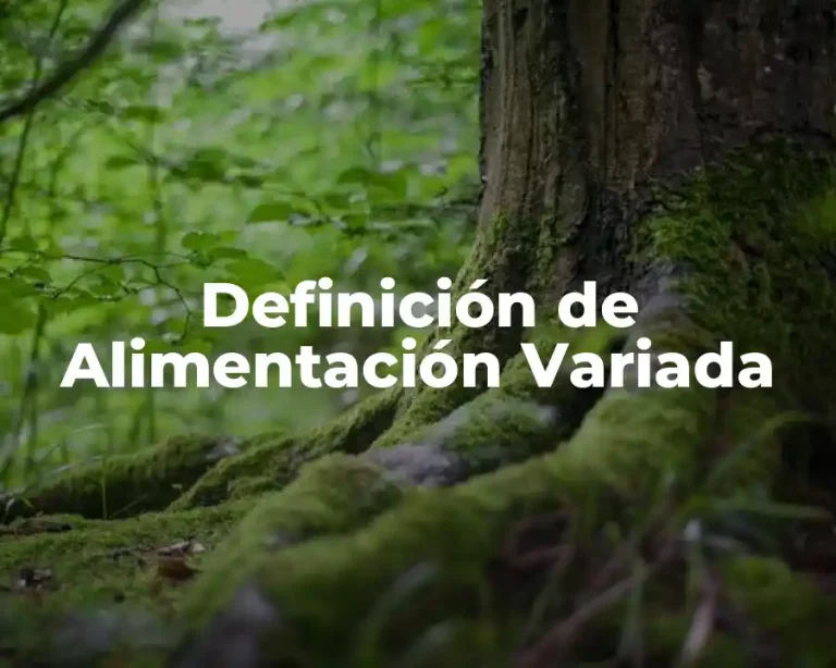 Definición de Alimentación Variada