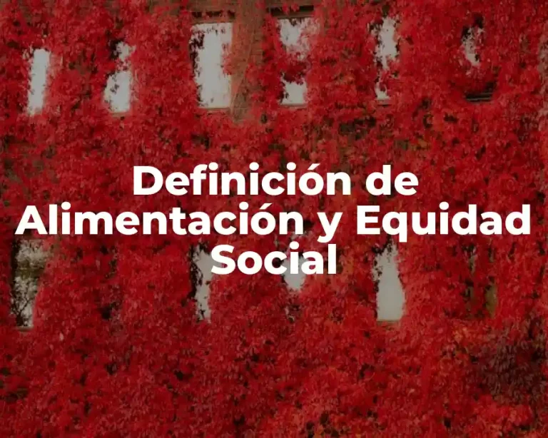 Definición de Alimentación y Equidad Social