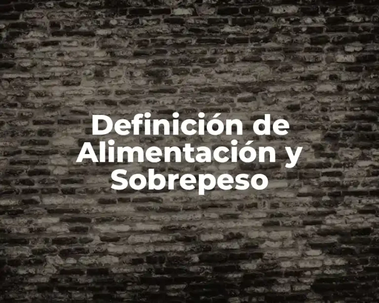 Definición de Alimentación y Sobrepeso
